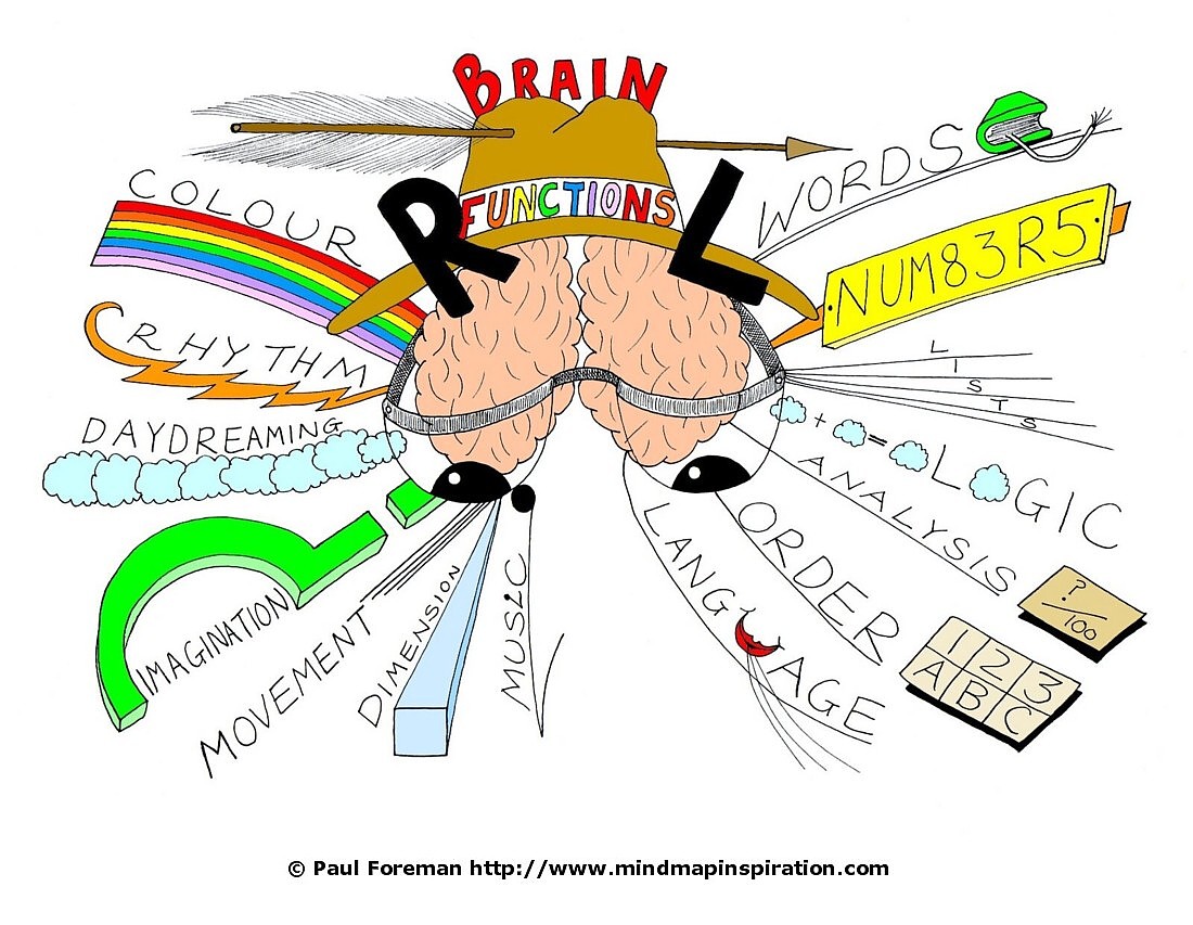 Brain Functions Mind Map  Mind Map Inspiration