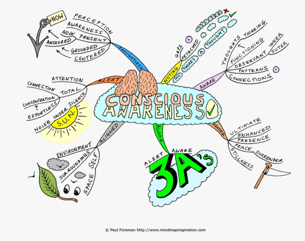 Conscious Awareness