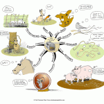Few Animals Moan