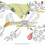 Lessons From a Swan