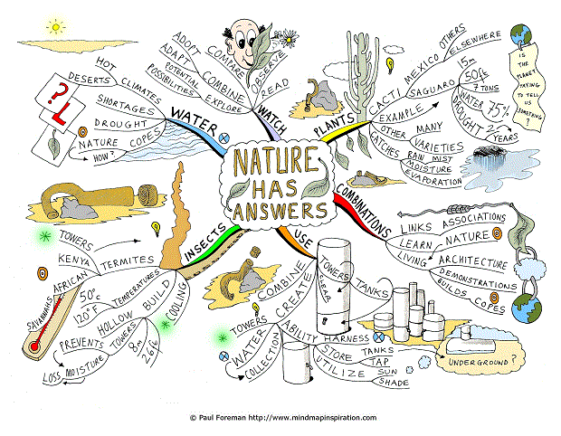 Nature Has Answers