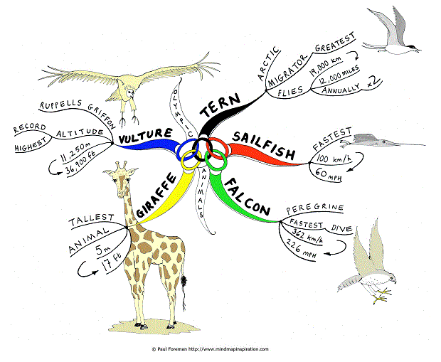 Olympic Animals