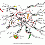 Spontaneity Mind Map