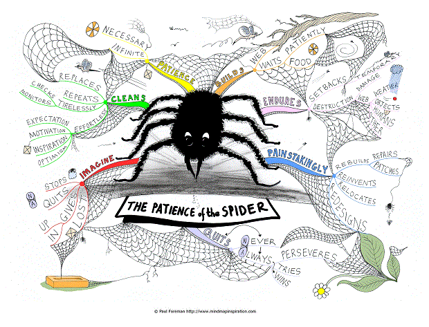 The Patience of the Spider