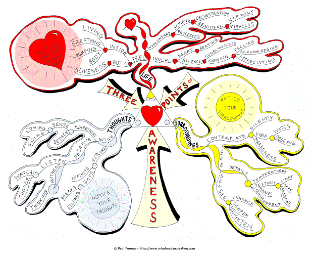 Three Points of Awareness
