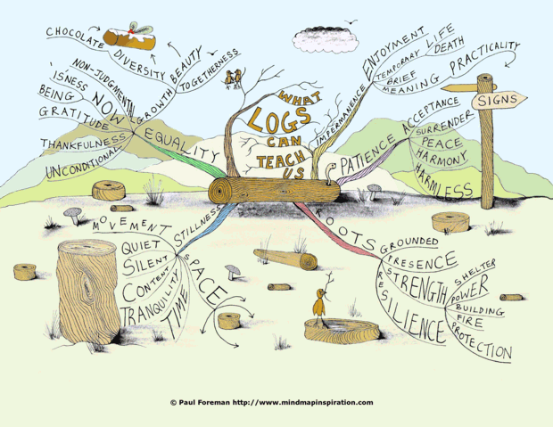 What Logs Can Each Us