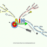 AIM Mind Map