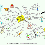 Another Name for Mind Mappers