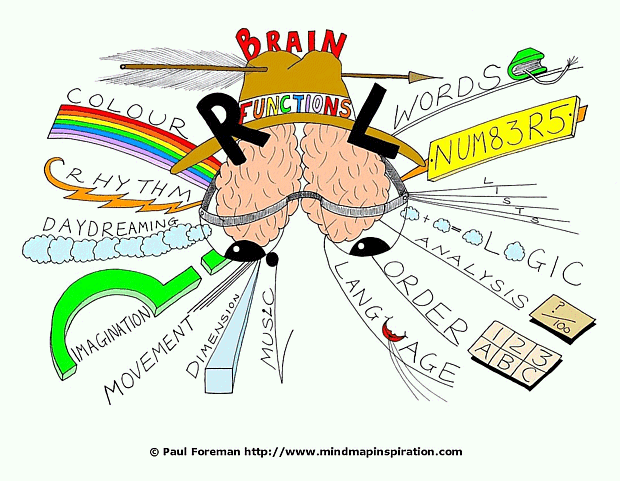 Brain Functions Mind Map