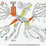 Going With The Flow Mind Map