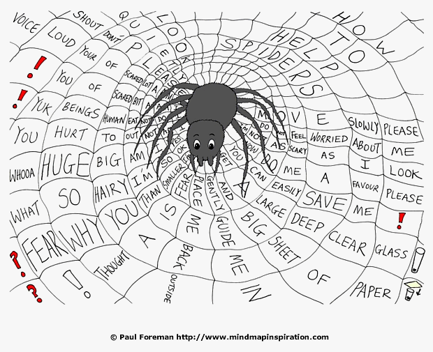 How to Help Spiders