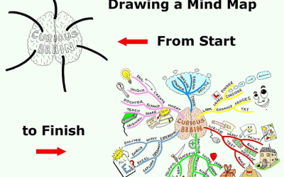 Drawing a Mind Map from Start to Finish