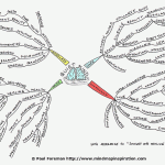Quiet Mind Mind Map