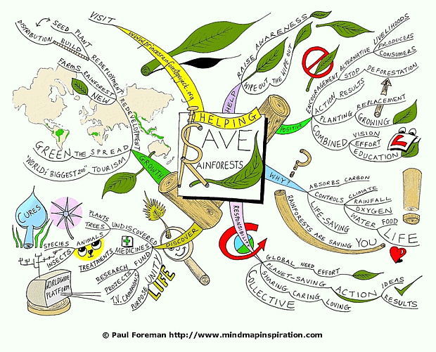 Helping Save Rainforests Mind Map