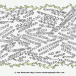 Uplifting Words Sheet