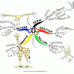 Olympic Animals