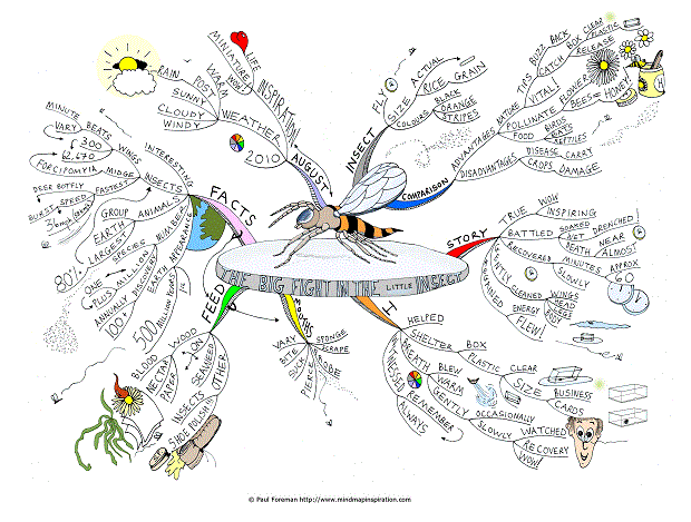 The Big Fight in the Little Insect