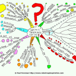 What Am I Thinking Right Now Mind Map